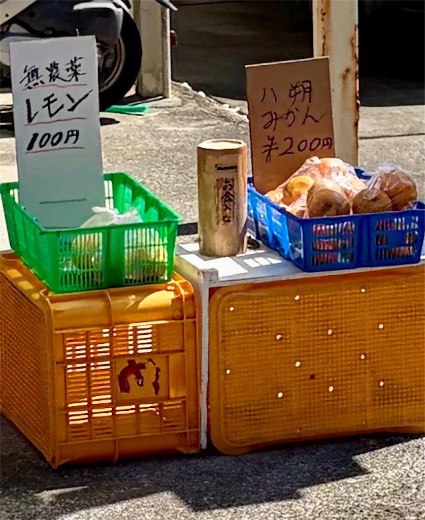 f:id:Genmai_17:20260407115556j:image