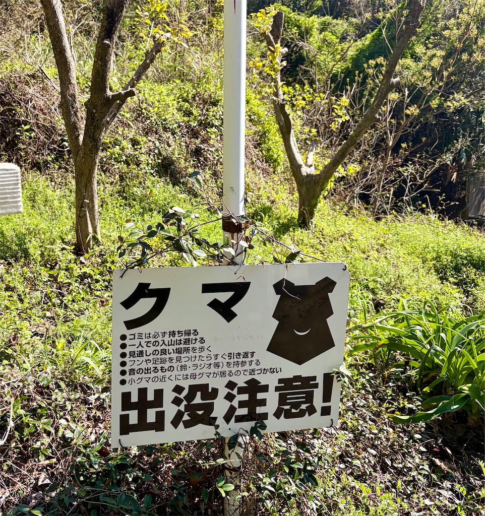 f:id:Genmai_17:20260412163719j:image