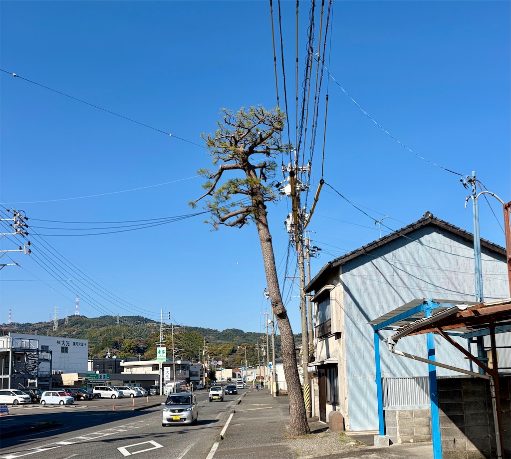 f:id:Genmai_17:20260412164717j:image