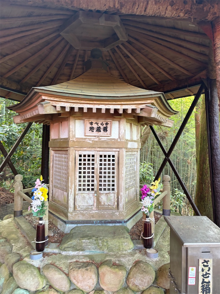 f:id:Genmai_17:20260502150429j:image