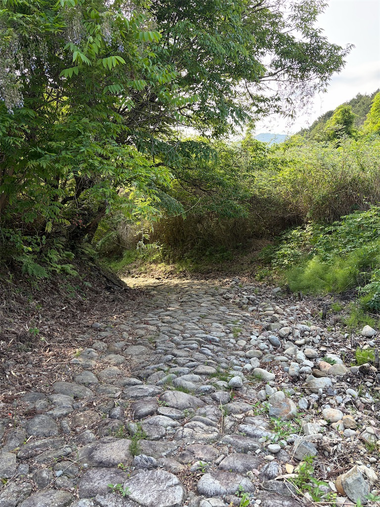 f:id:Genmai_17:20260502150449j:image