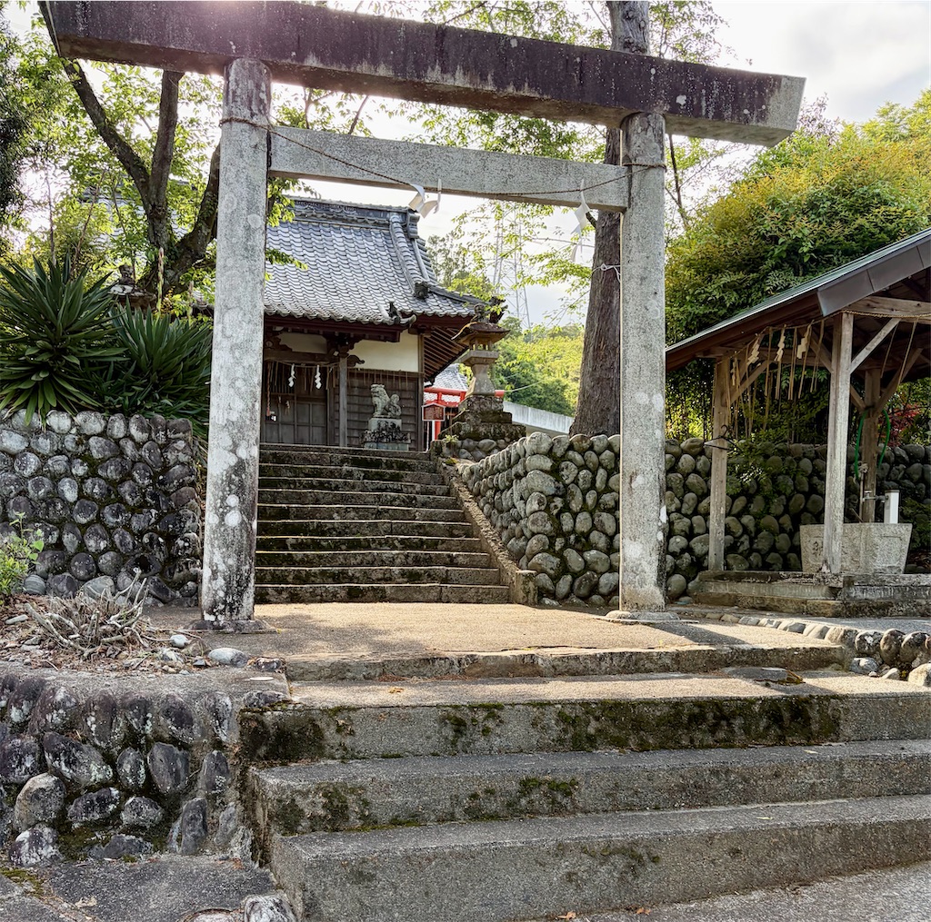 f:id:Genmai_17:20260502150905j:image