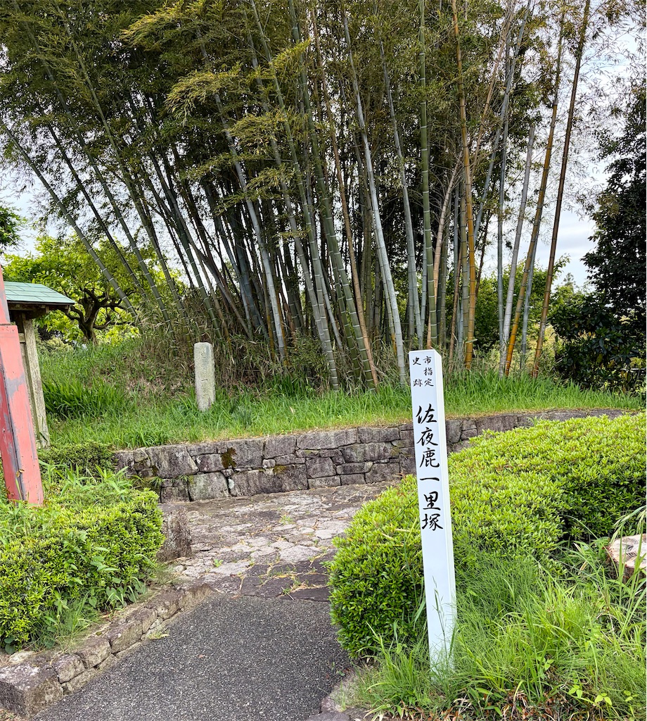 f:id:Genmai_17:20260502151336j:image