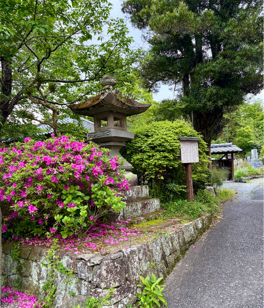 f:id:Genmai_17:20260502152325j:image