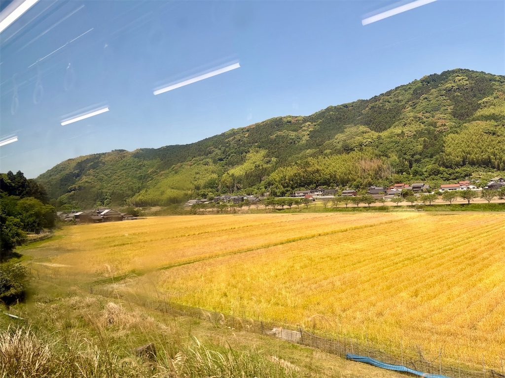 f:id:Genmai_17:20260523141202j:image