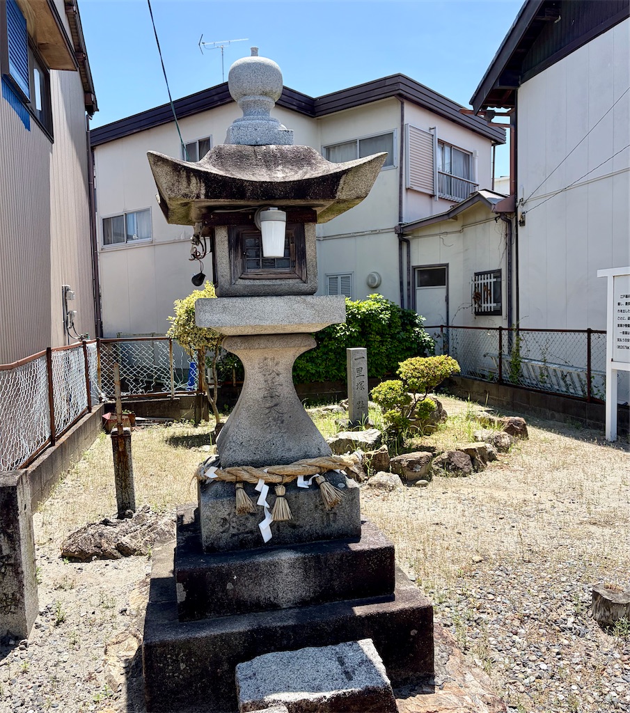 f:id:Genmai_17:20260531154235j:image