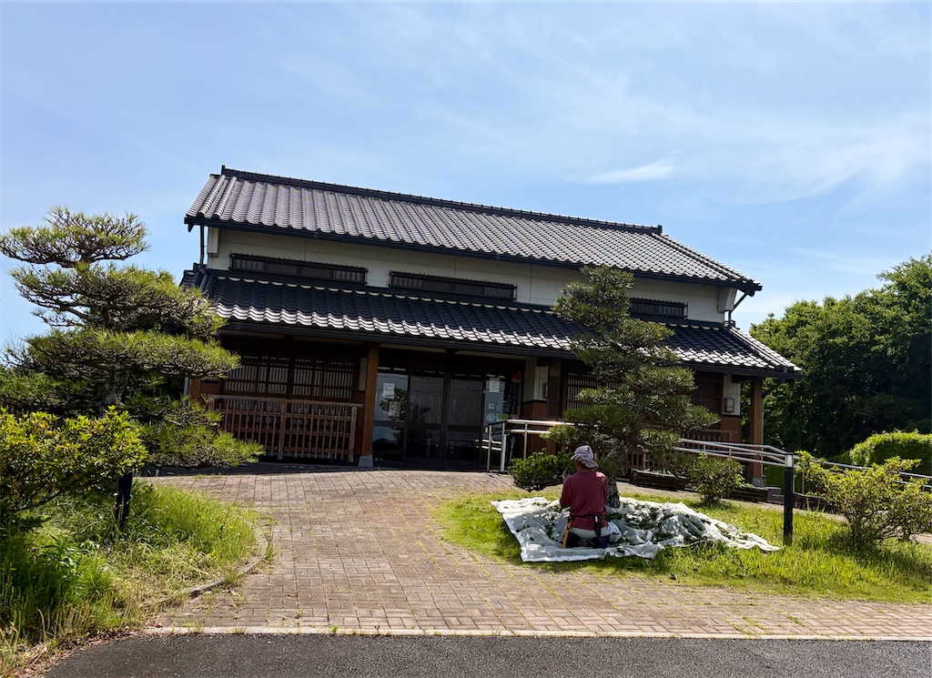f:id:Genmai_17:20260607161218j:image