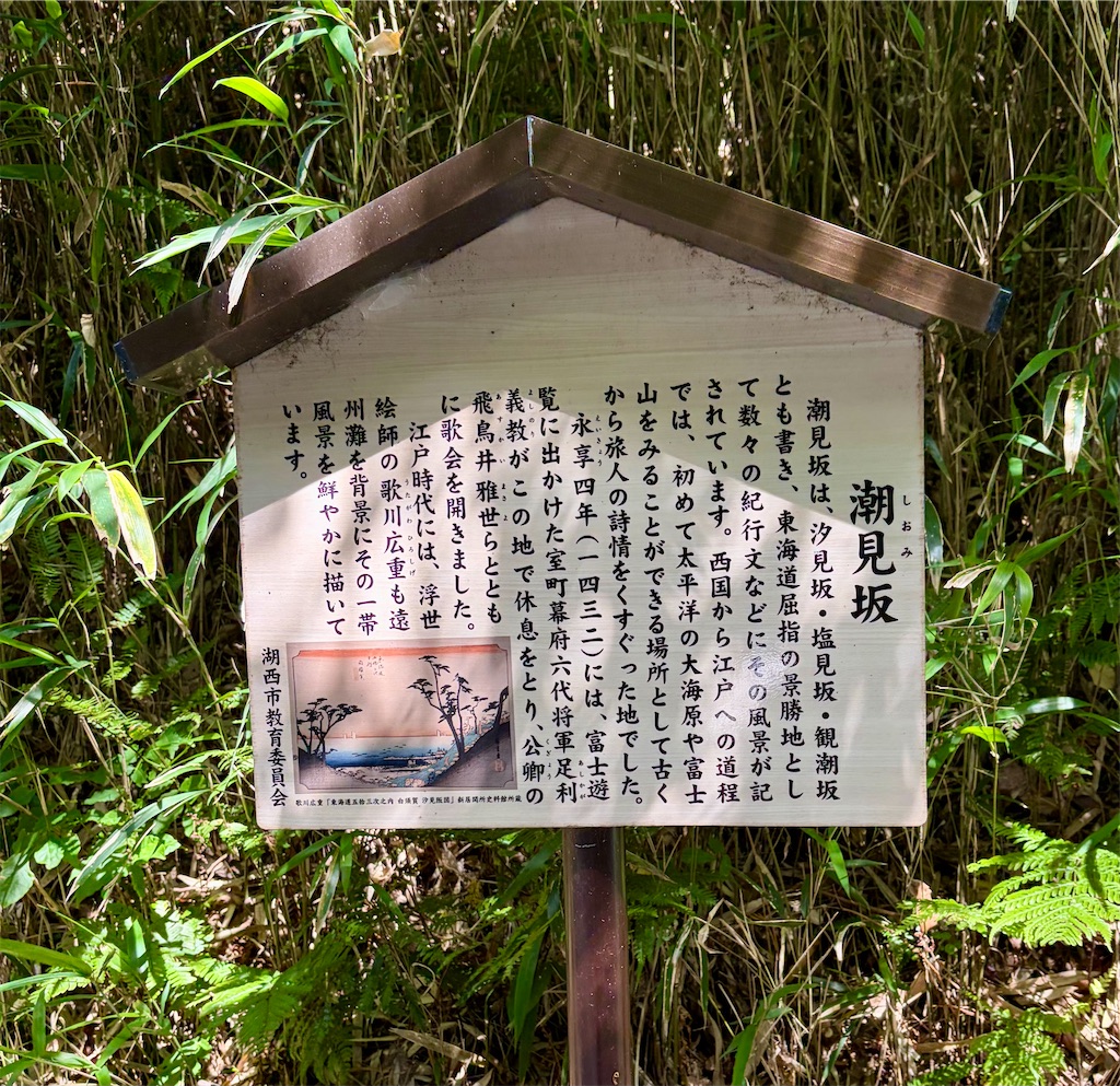 f:id:Genmai_17:20260607161240j:image