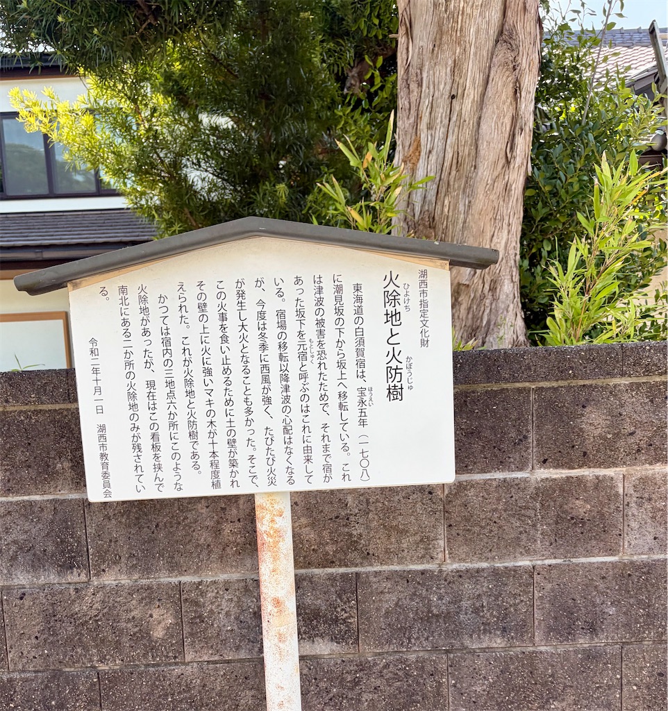 f:id:Genmai_17:20260607161312j:image