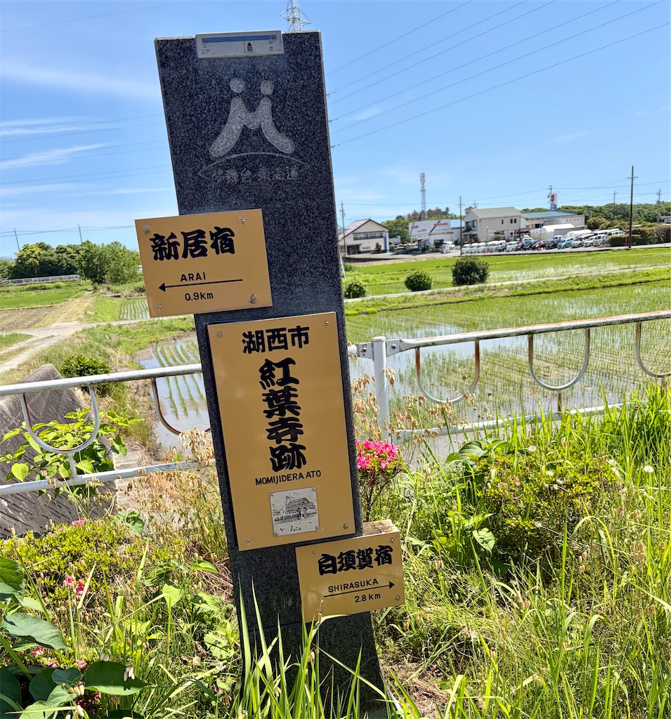 f:id:Genmai_17:20260607161342j:image