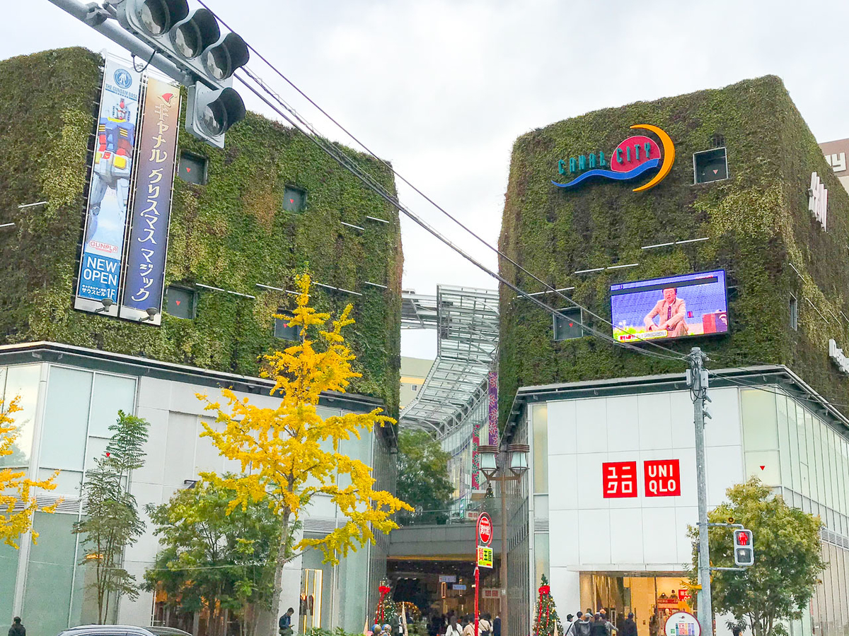 f:id:Genppy:20191201111850j:plain