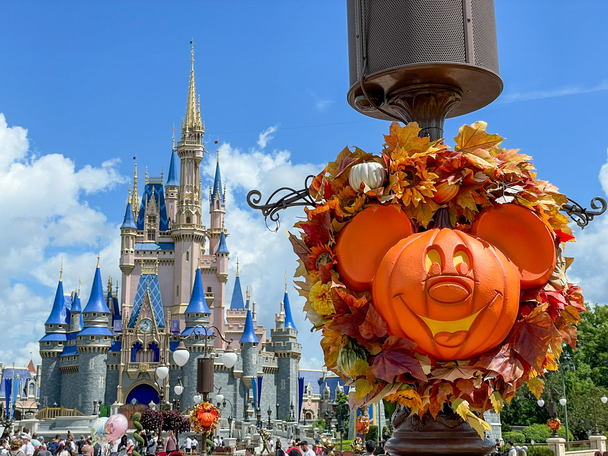 ディズニー 本 英語版 世界のディズニーパーク&リゾート ディズニー