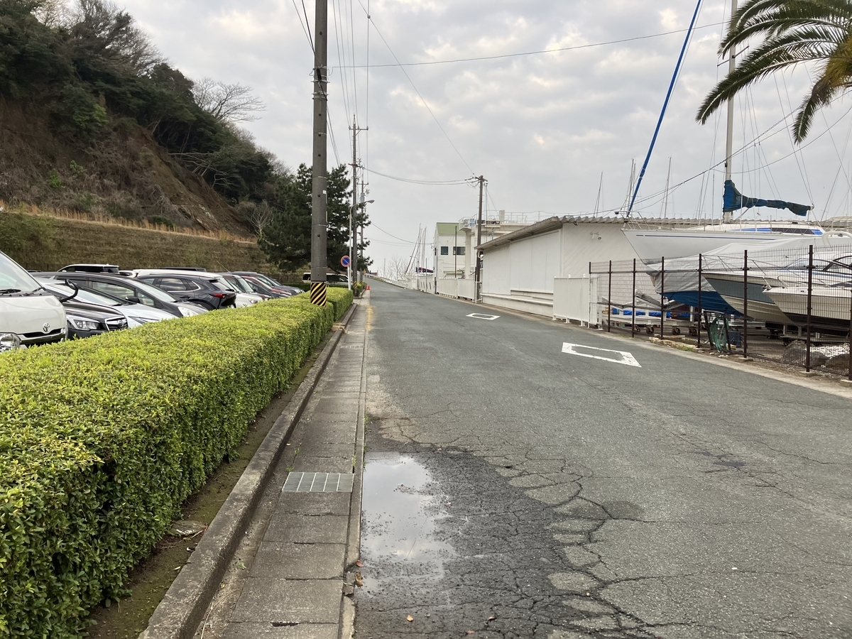 のんびり朝のフィールドワーク 西浦町 Geogami’s blog