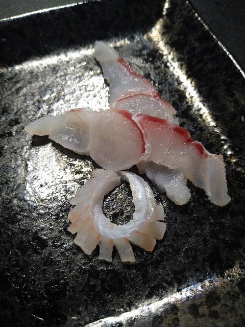 f:id:Get_Deaded:20201130180947j:image f:id:Get_Deaded:20201130180947j:image