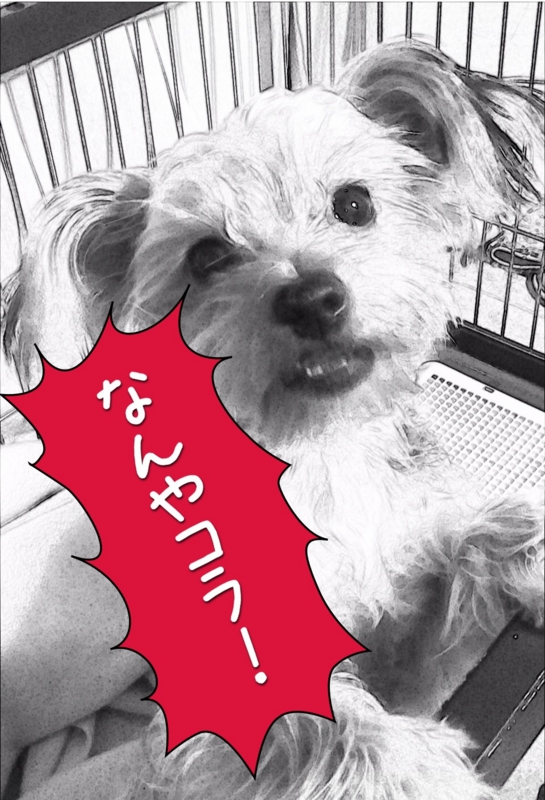 f:id:Ghidorah:20131217200808j:plain