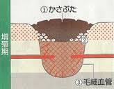 f:id:Ghidorah:20140919204052j:plain