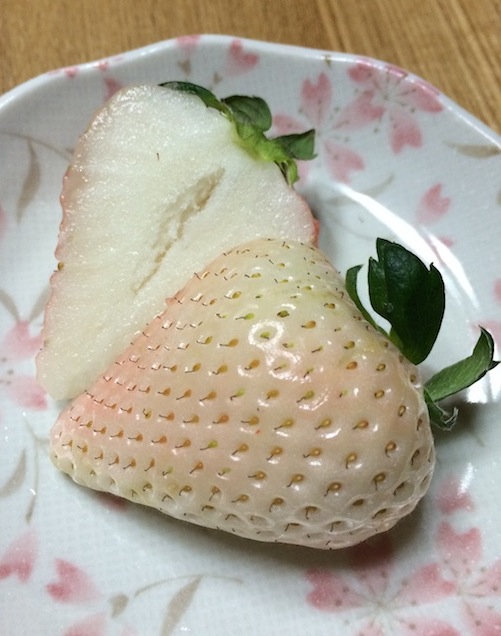 f:id:Ghidorah:20150402203309j:plain