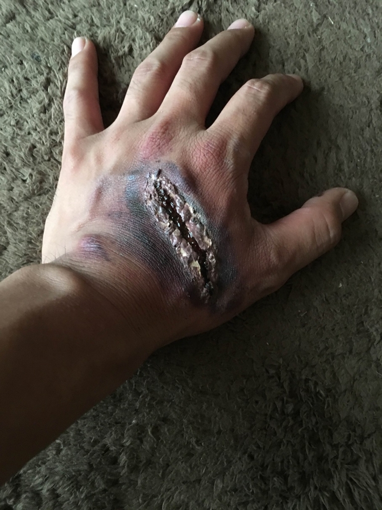 f:id:Ghidorah:20161005175529j:plain