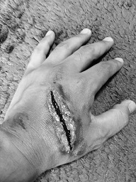 f:id:Ghidorah:20161005182105j:plain