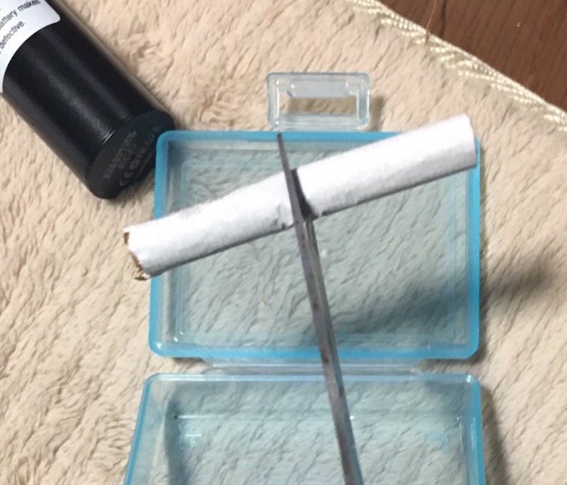 f:id:Ghidorah:20171209130246j:plain