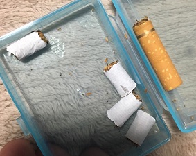 f:id:Ghidorah:20171209130255j:plain