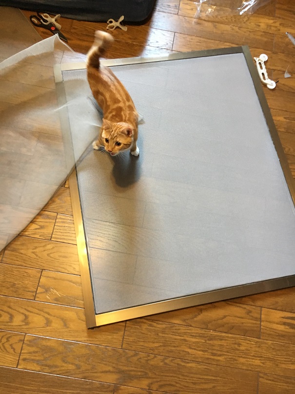 f:id:Ghidorah:20180714100301j:plain