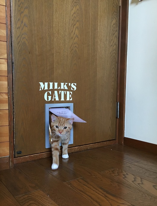 f:id:Ghidorah:20180720145631j:plain