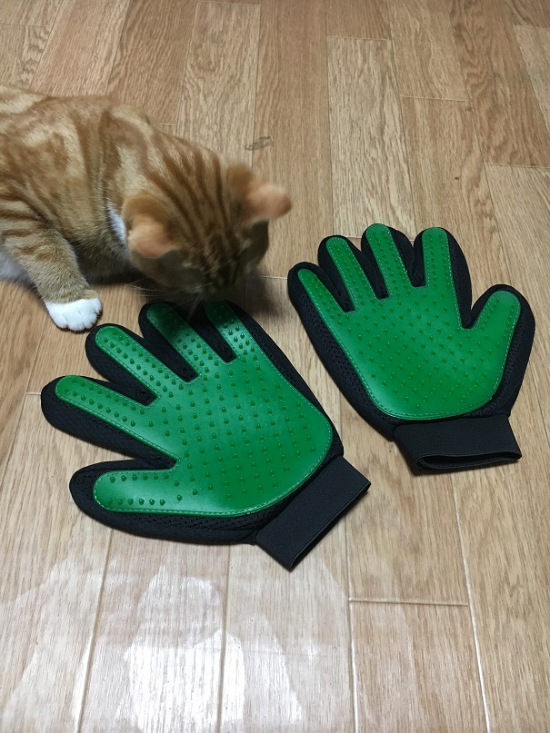 f:id:Ghidorah:20180901180126j:plain