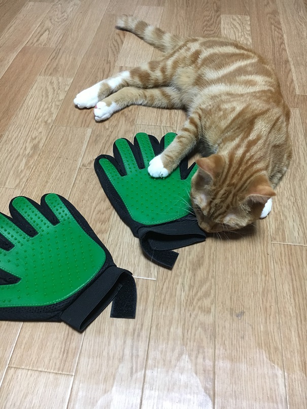 f:id:Ghidorah:20180901180615j:plain