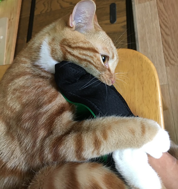 f:id:Ghidorah:20180908091226j:plain