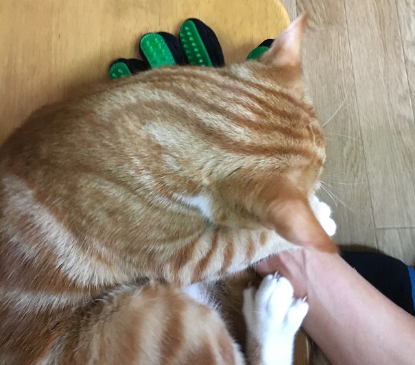 f:id:Ghidorah:20180908091313j:plain