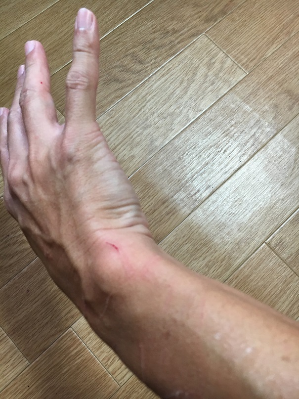 f:id:Ghidorah:20180908091613j:plain