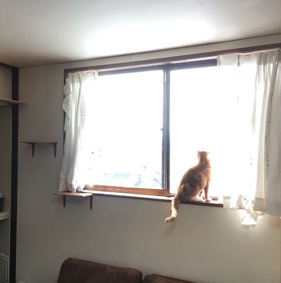 f:id:Ghidorah:20180911094455j:plain