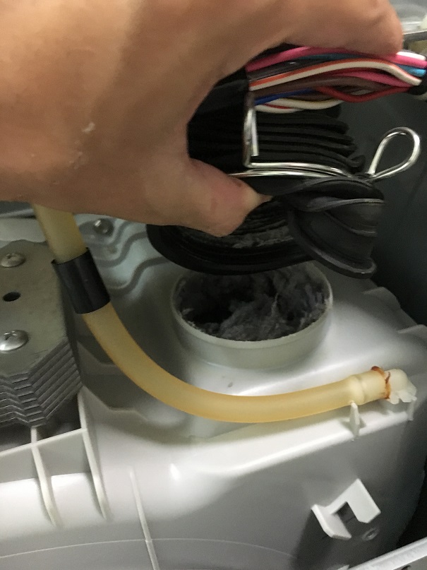 f:id:Ghidorah:20180912003038j:plain