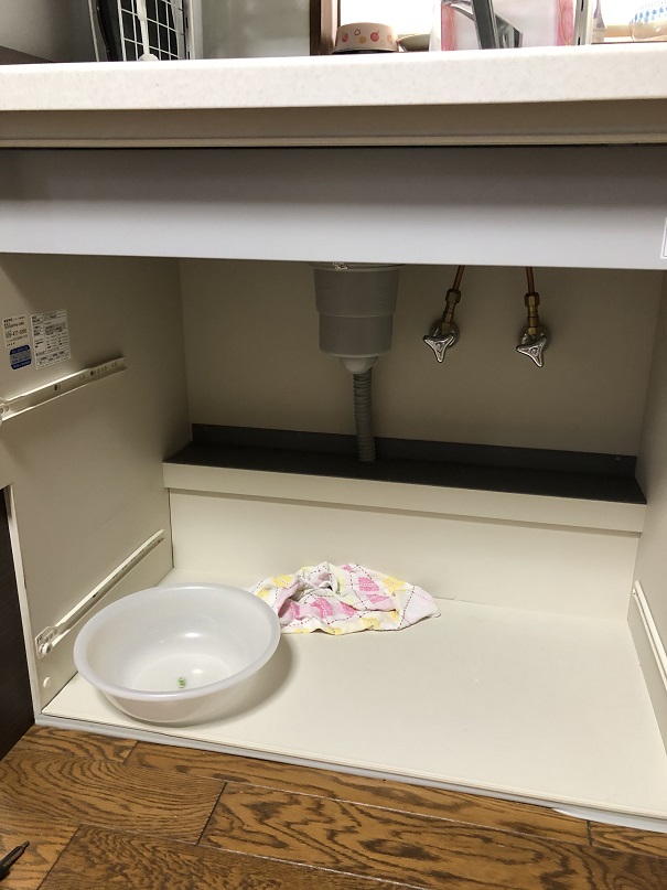 f:id:Ghidorah:20191027151902j:plain