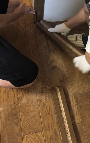 f:id:Ghidorah:20200827134705j:plain