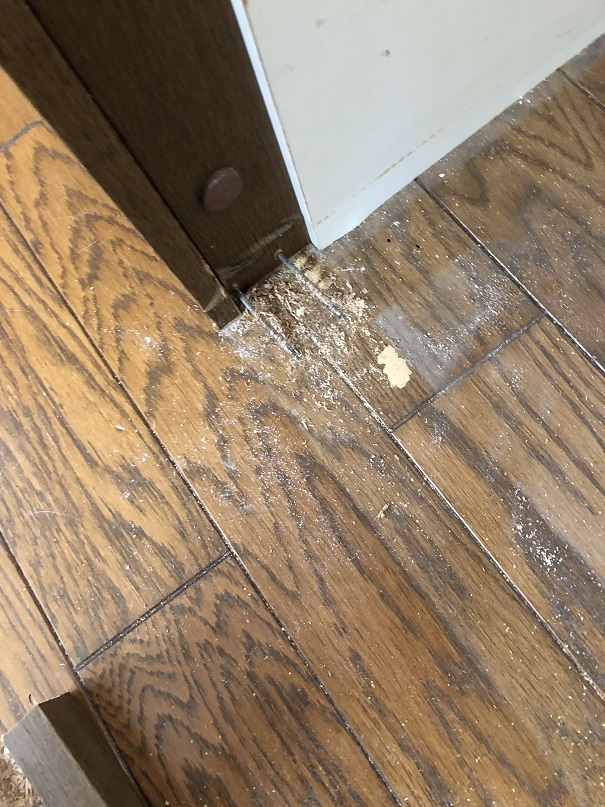 f:id:Ghidorah:20200827134904j:plain