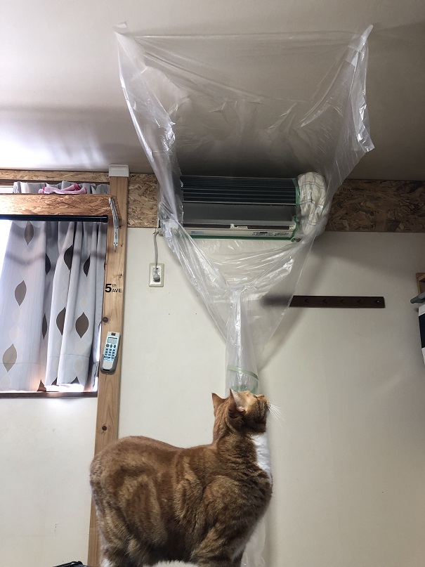 f:id:Ghidorah:20211006123259j:plain