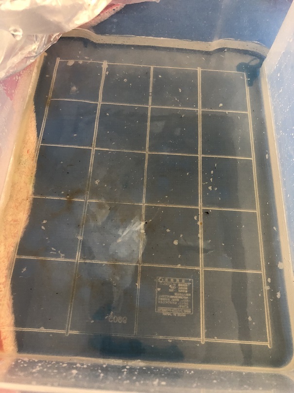 f:id:Ghidorah:20211006140701j:plain