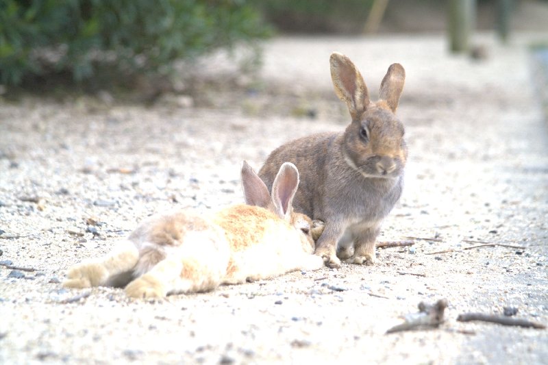 f:id:GhostofAtlantis:20180504102711j:plain