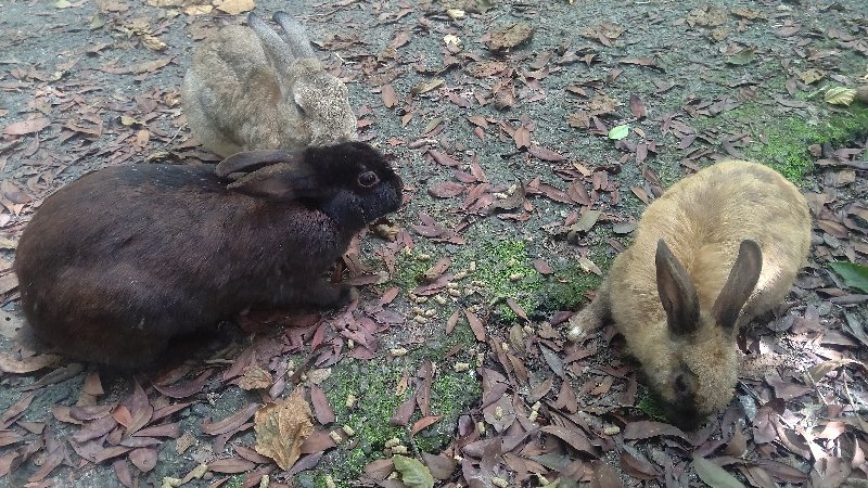 f:id:GhostofAtlantis:20210815072451j:plain