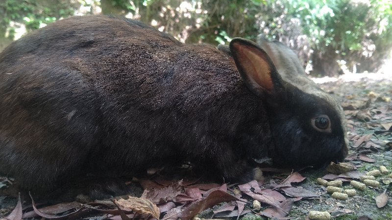 f:id:GhostofAtlantis:20210815072501j:plain