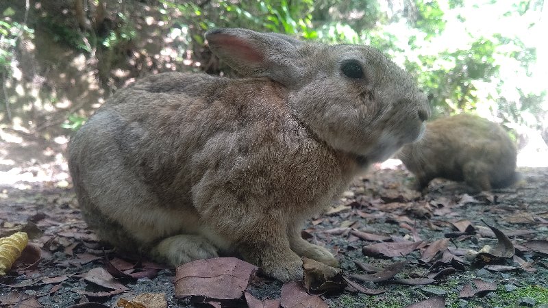 f:id:GhostofAtlantis:20210815072506j:plain