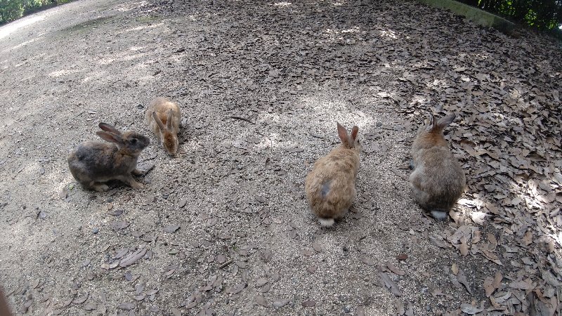 f:id:GhostofAtlantis:20210815072509j:plain