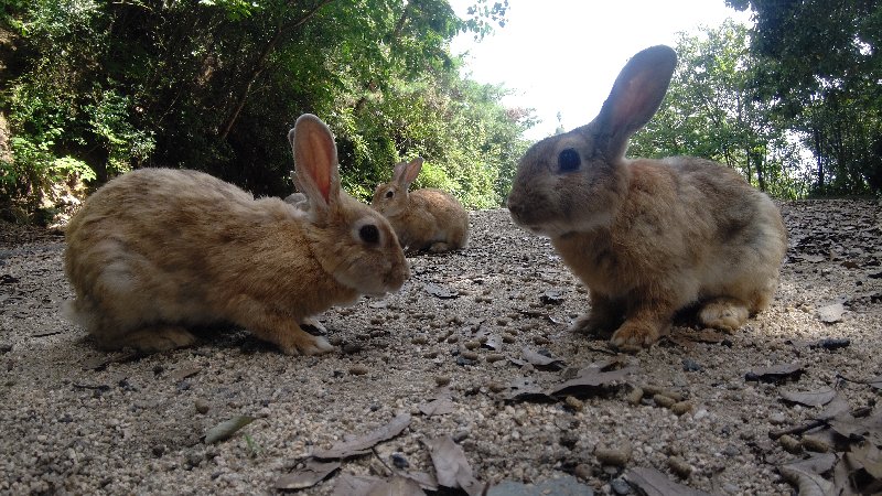 f:id:GhostofAtlantis:20210815072515j:plain