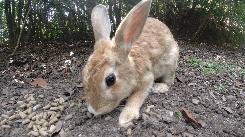 f:id:GhostofAtlantis:20210815072518j:plain