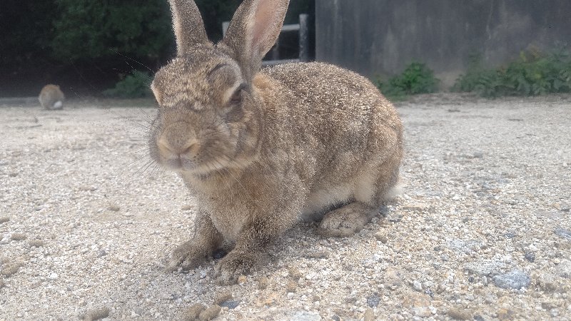 f:id:GhostofAtlantis:20210815072524j:plain