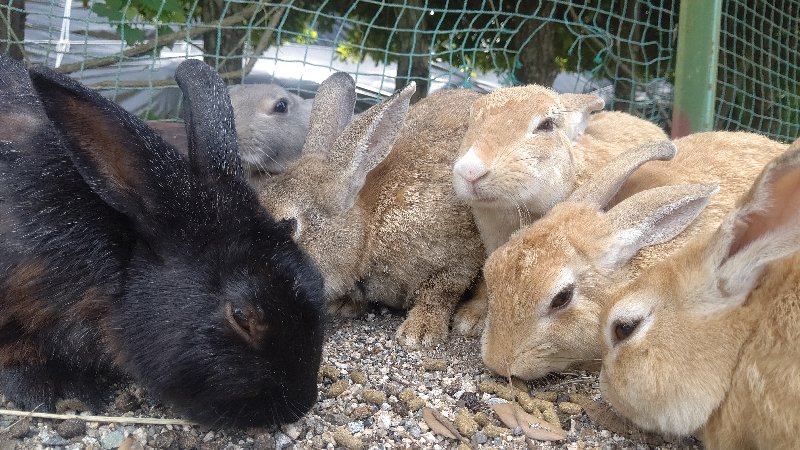 f:id:GhostofAtlantis:20210815072529j:plain