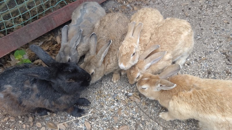 f:id:GhostofAtlantis:20210815072532j:plain