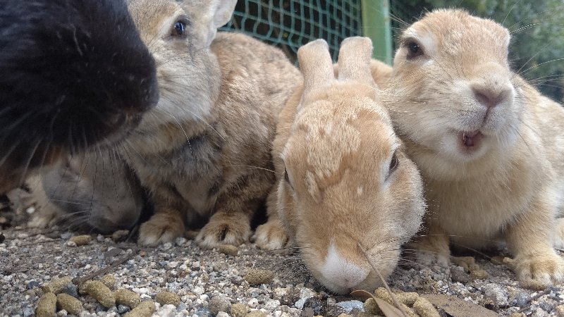 f:id:GhostofAtlantis:20210815072534j:plain